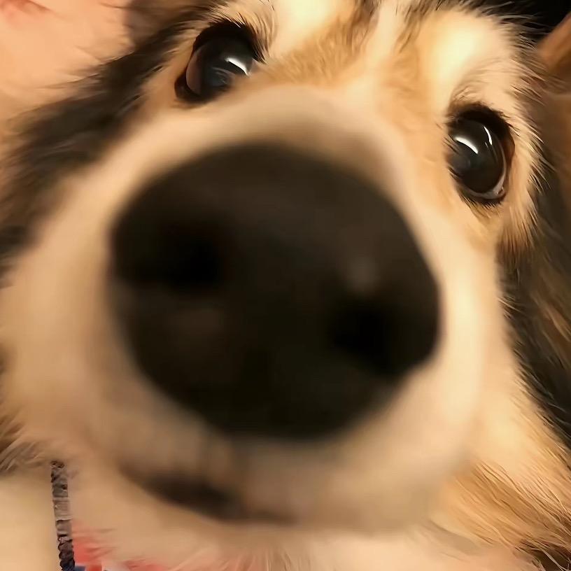 蒽