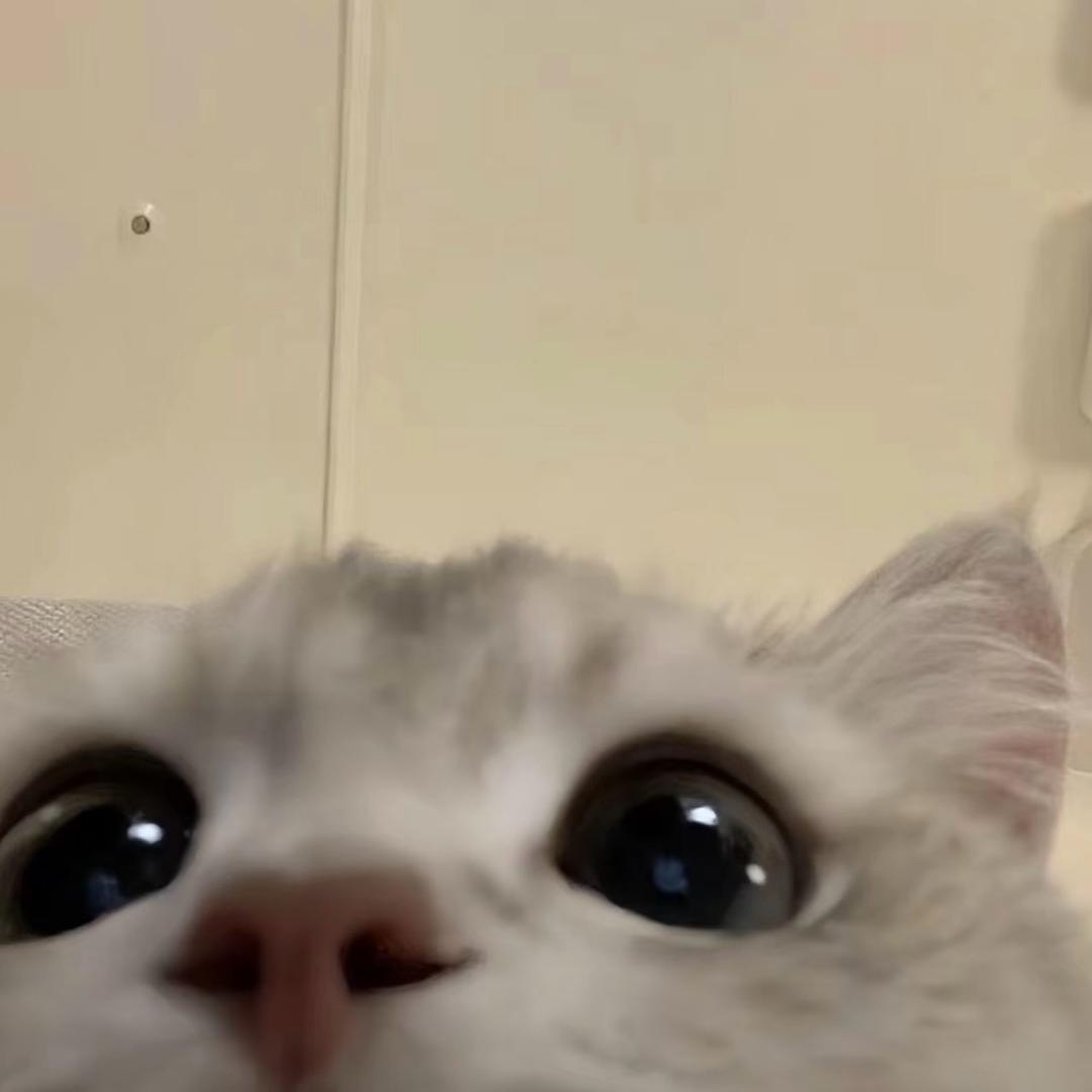 凌凌漆