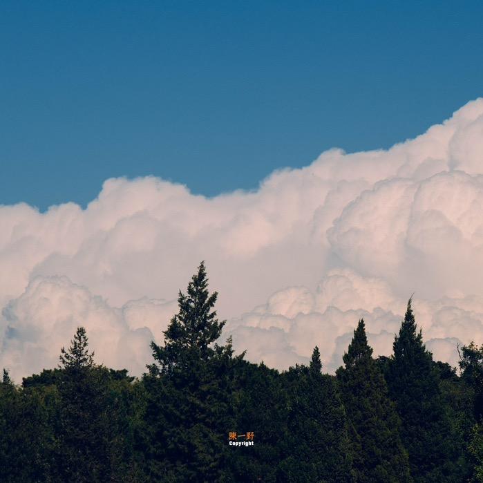 满堂花醉三千客