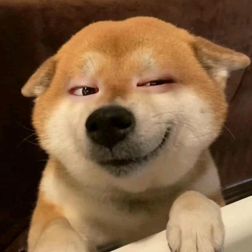 破巷岁月乞丐与狗
