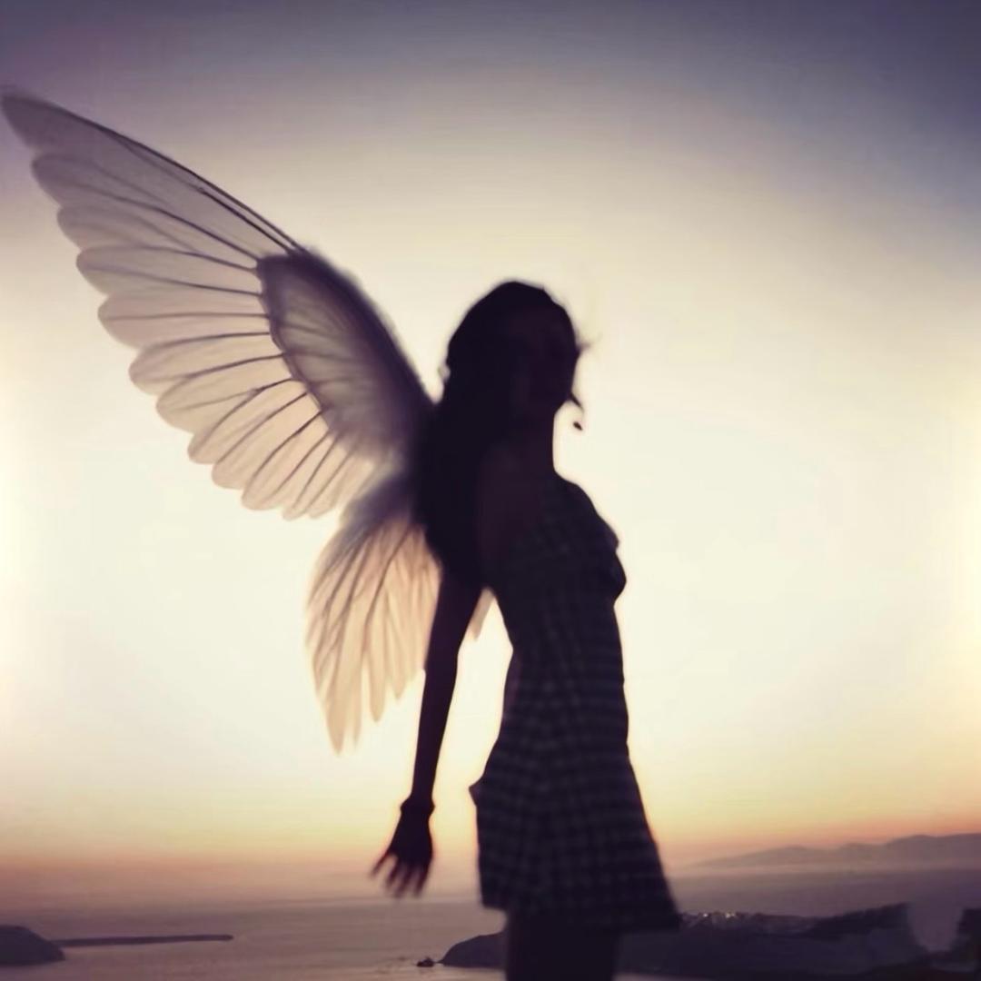 ๑ 喵᳐喵᳐ ค