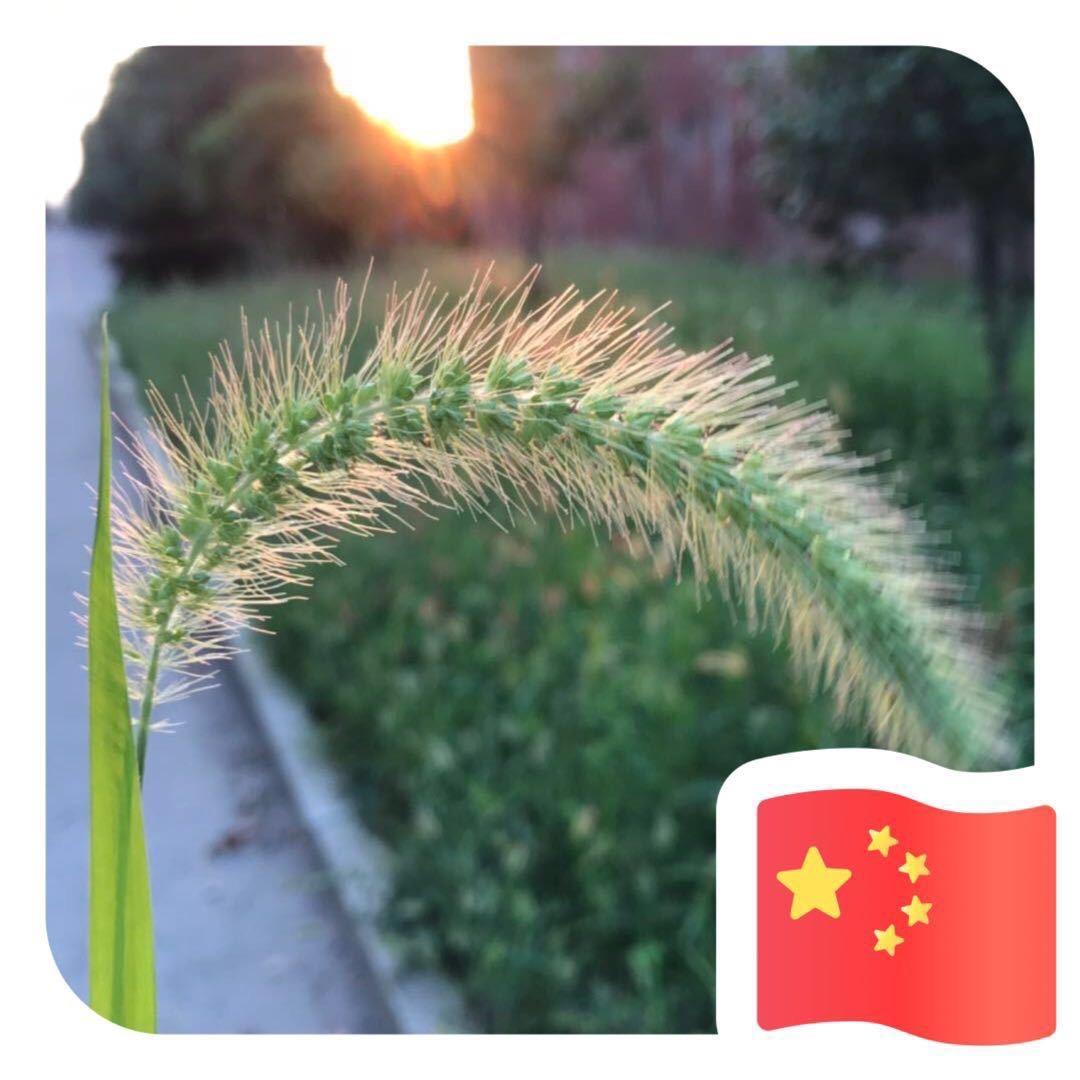 琢先森⁴⁴⁰⁰