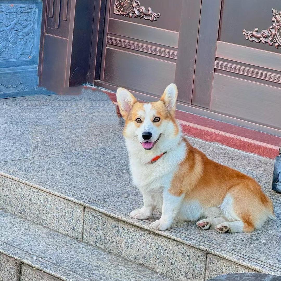 一只小瓶盖