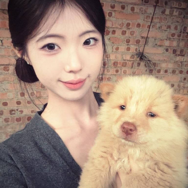 邪恶柠檬茶（土松版）