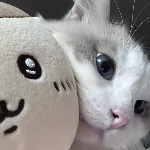 舒心