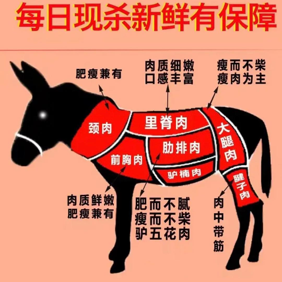 沼沼矿业