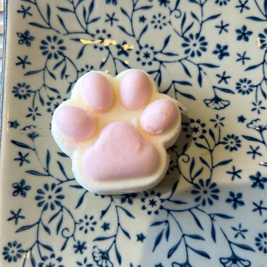 卷卷猫