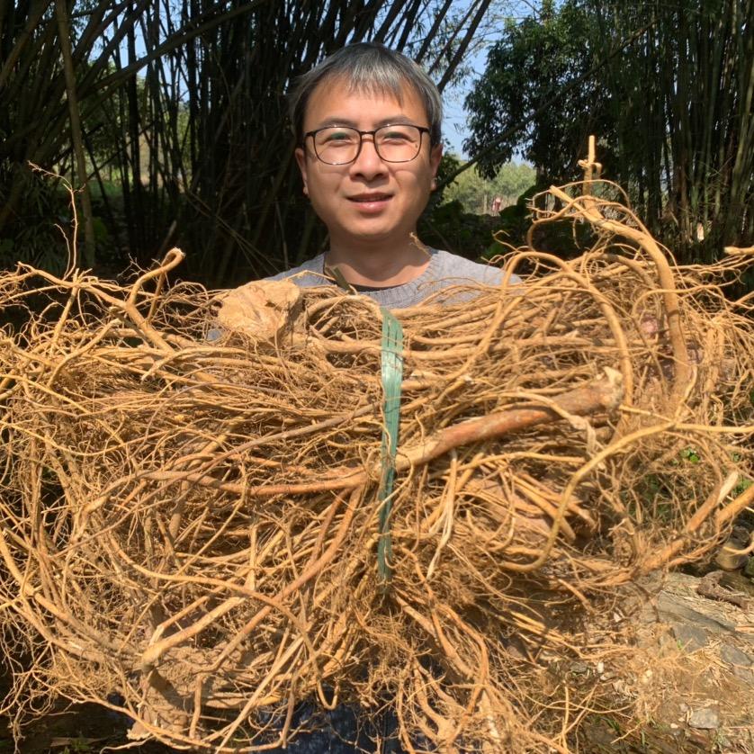 师乡老杨（加粉丝群）