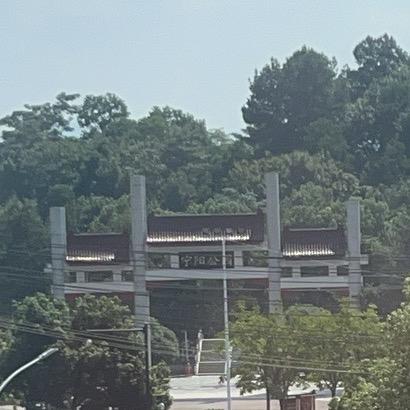 阳江春早