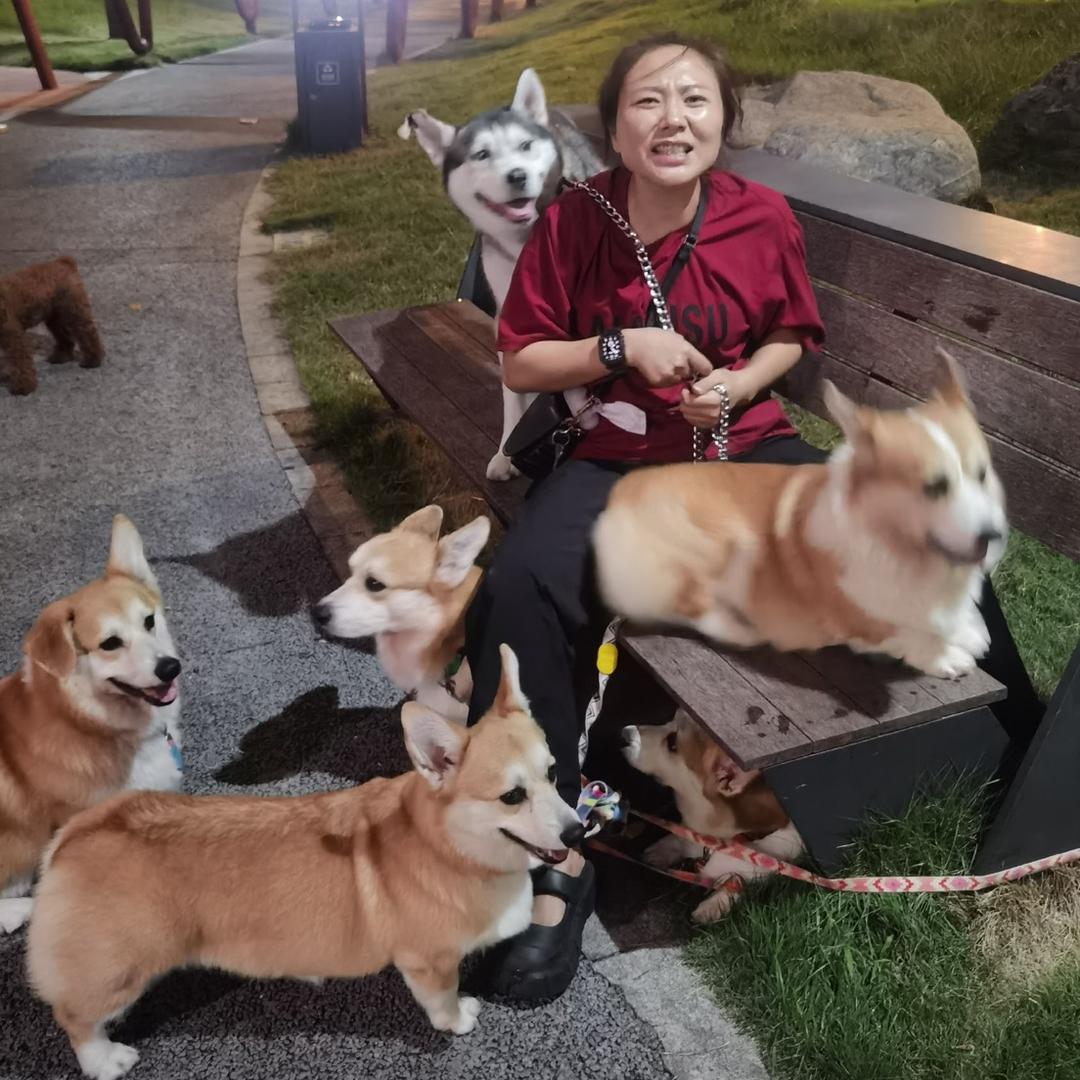 柯基王卡卡一家店铺账号