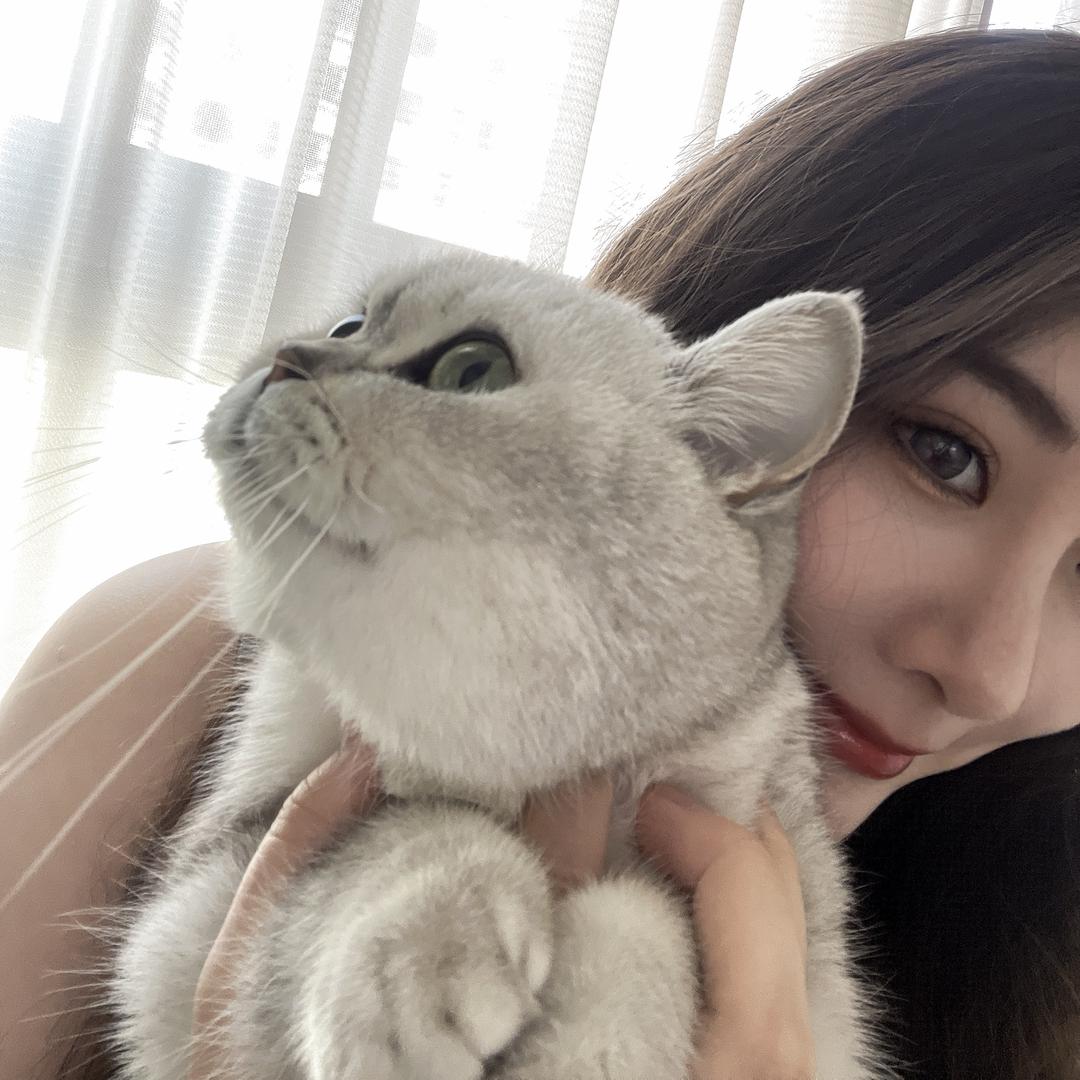 喵🐱