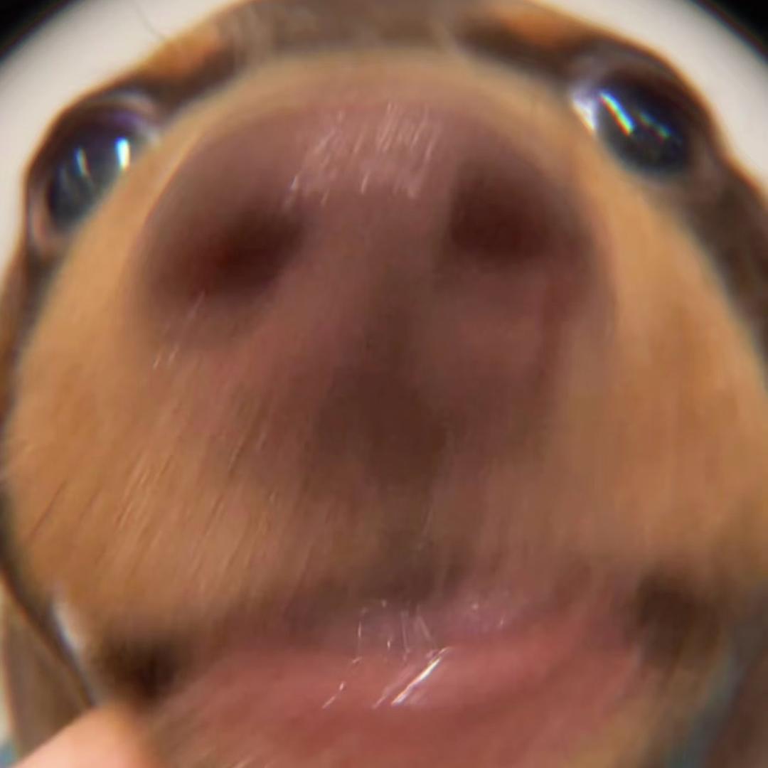 胡辣