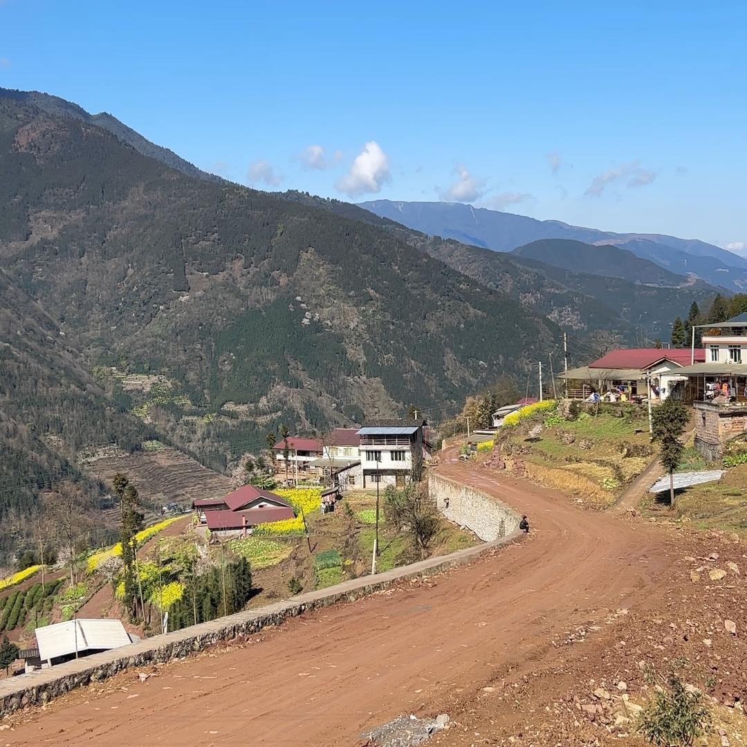 杨晨在农村
