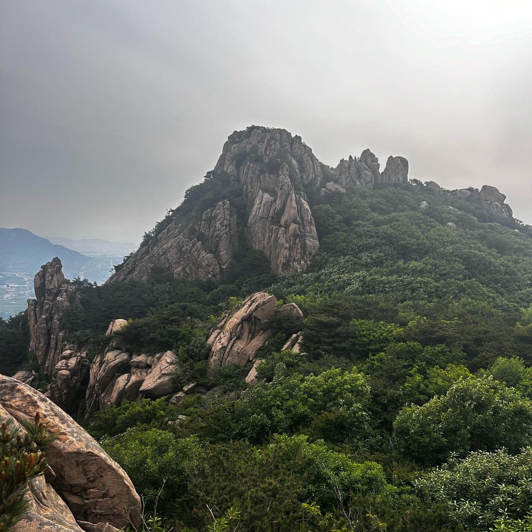 老陈財䨊櫎齽（收徒）