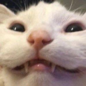 琦琦玉