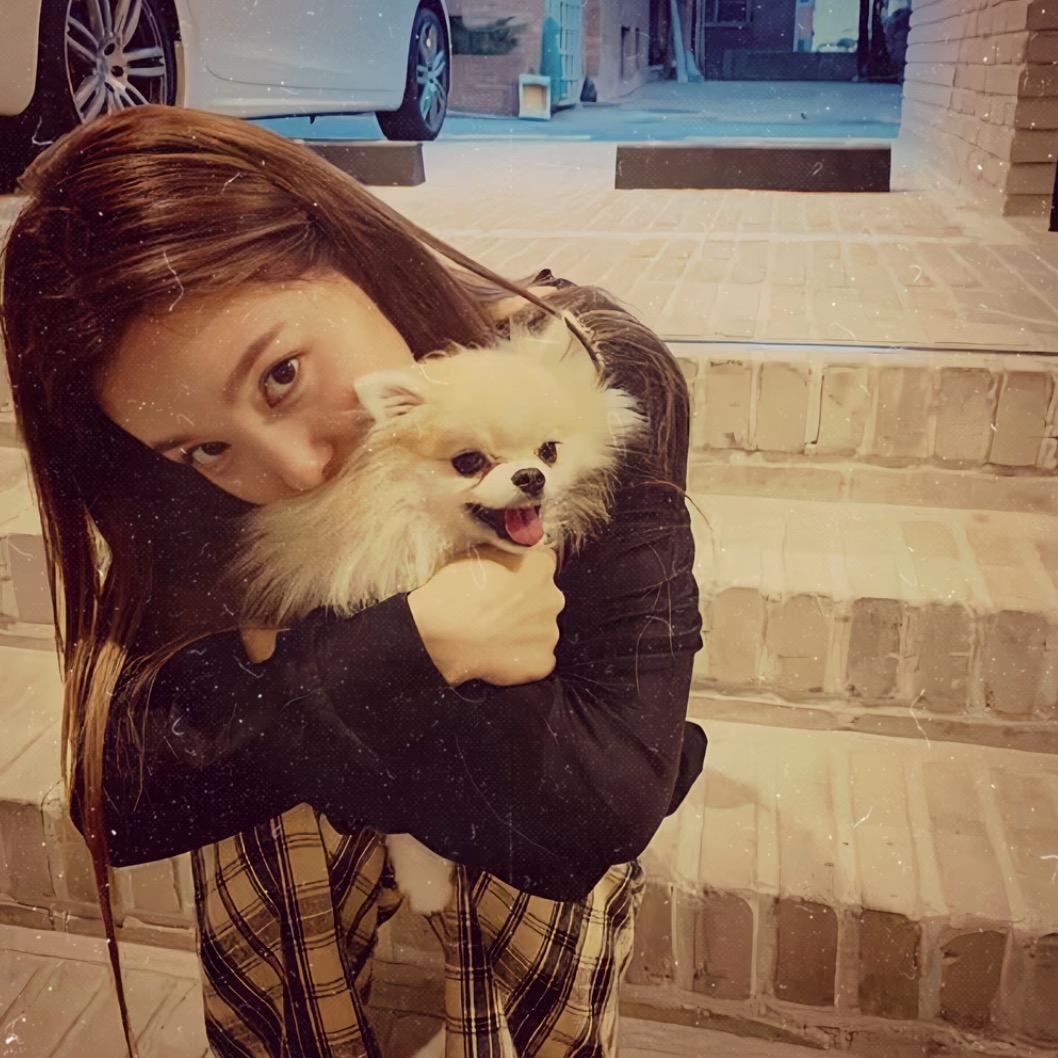 养只爱我的猫😺