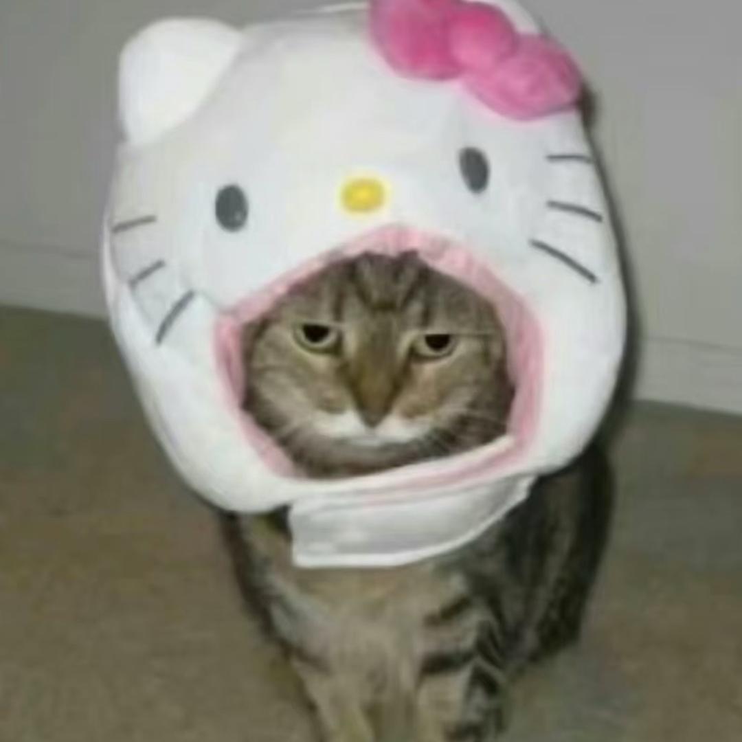 老头过马路被小猫肘击
