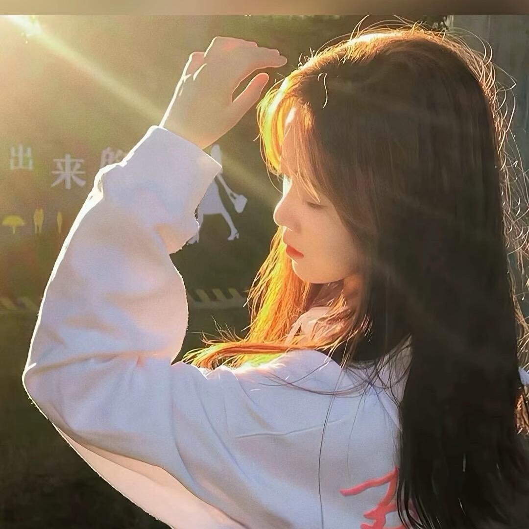 ♛♥海燕