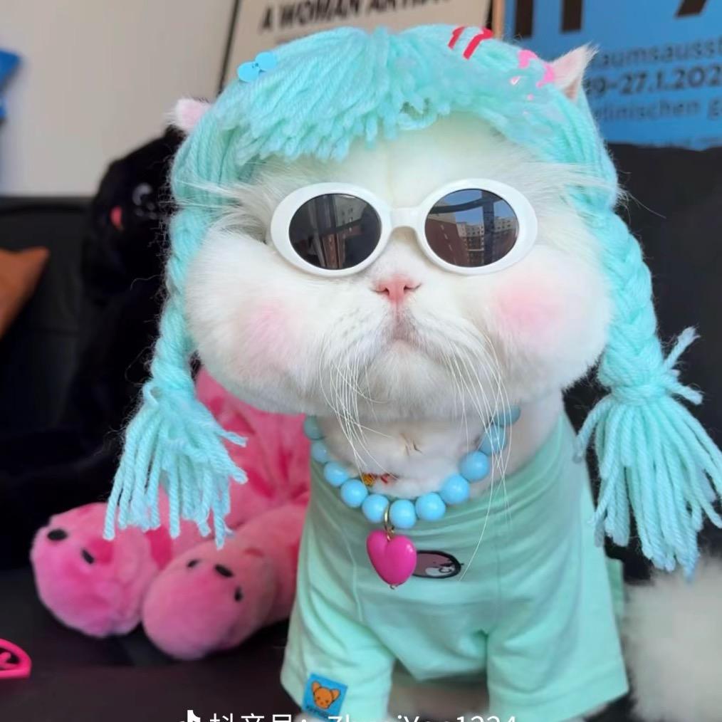 🐱大脸猫✨