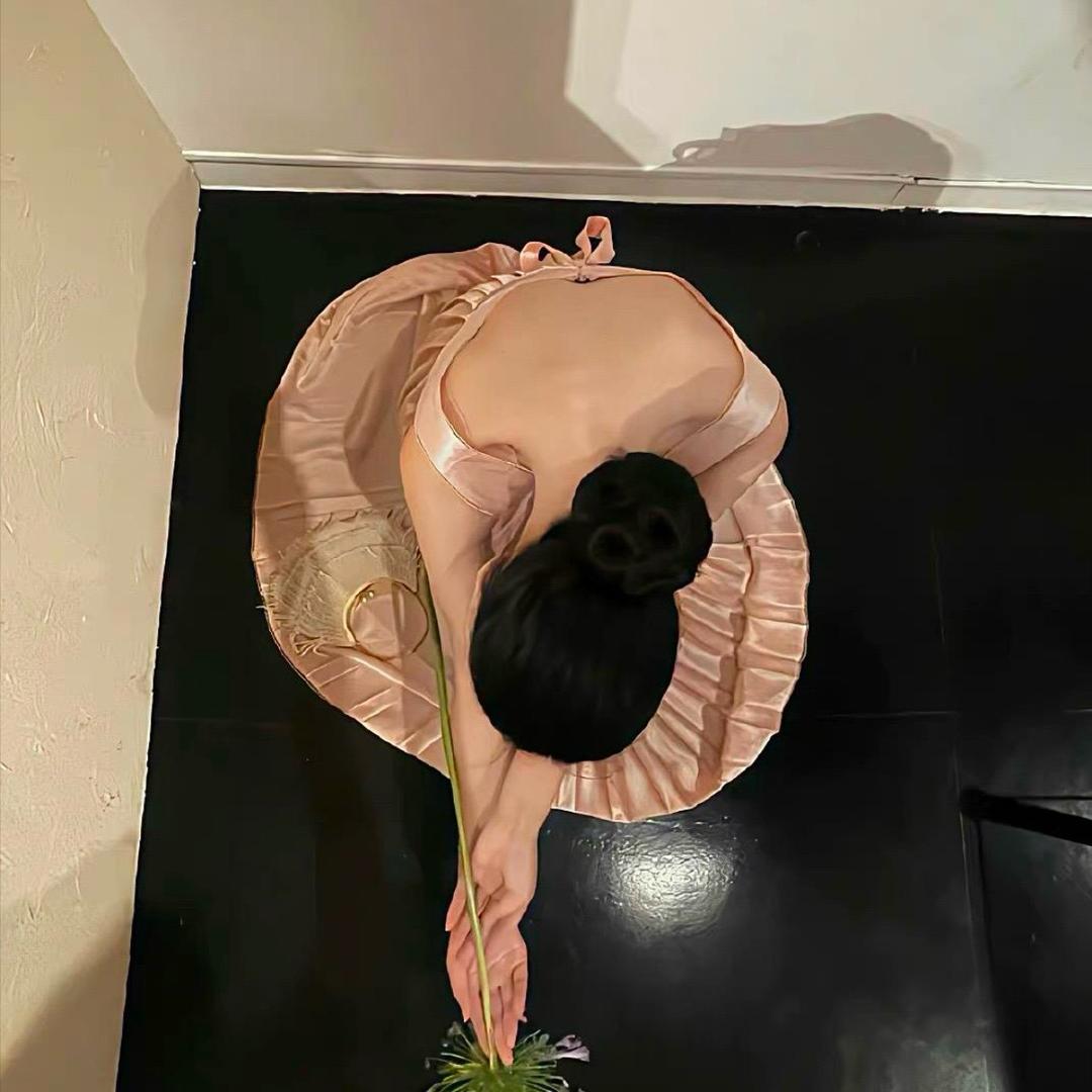 骑老奶奶过马路（发粪图强版）