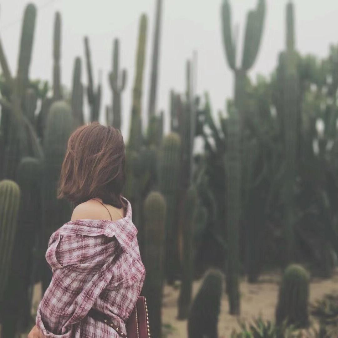 小白（雪乡日记版）