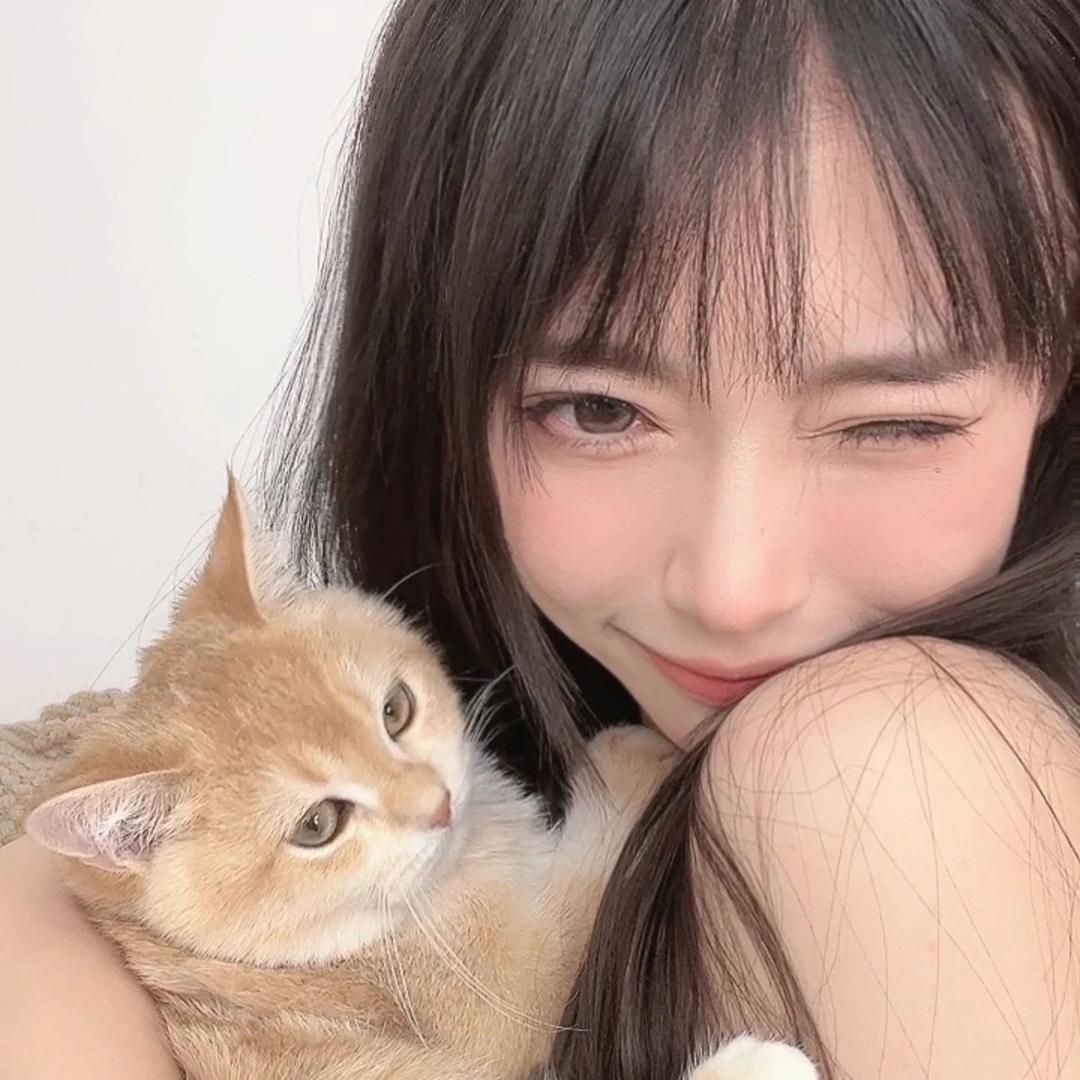 芋泥猪
