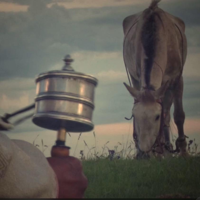 .                ༠ོ༨