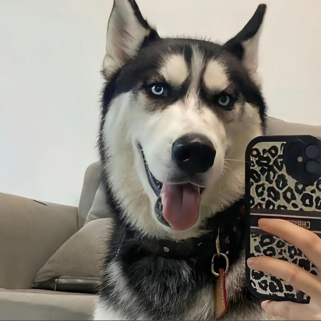 H&L   🏎️₂.₀