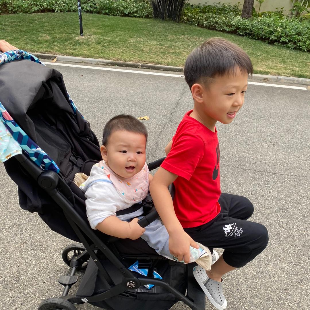 我家两只小神兽