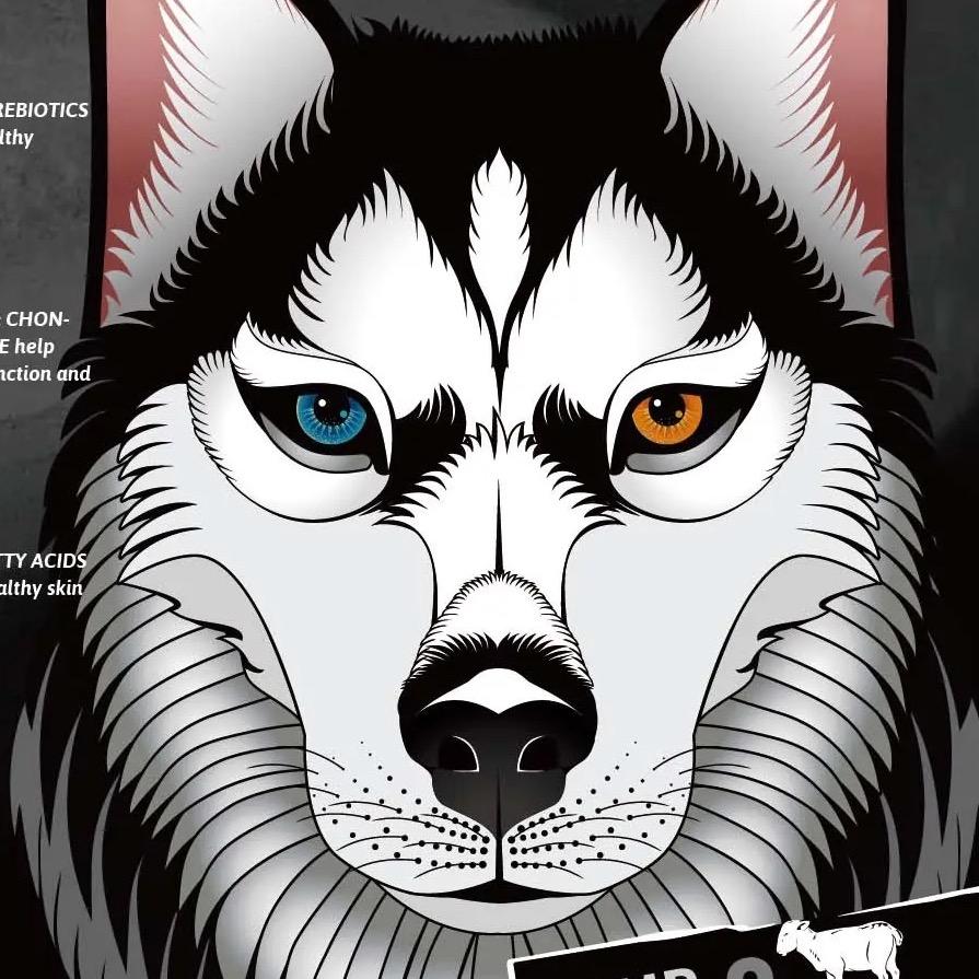 张小花的学习日记