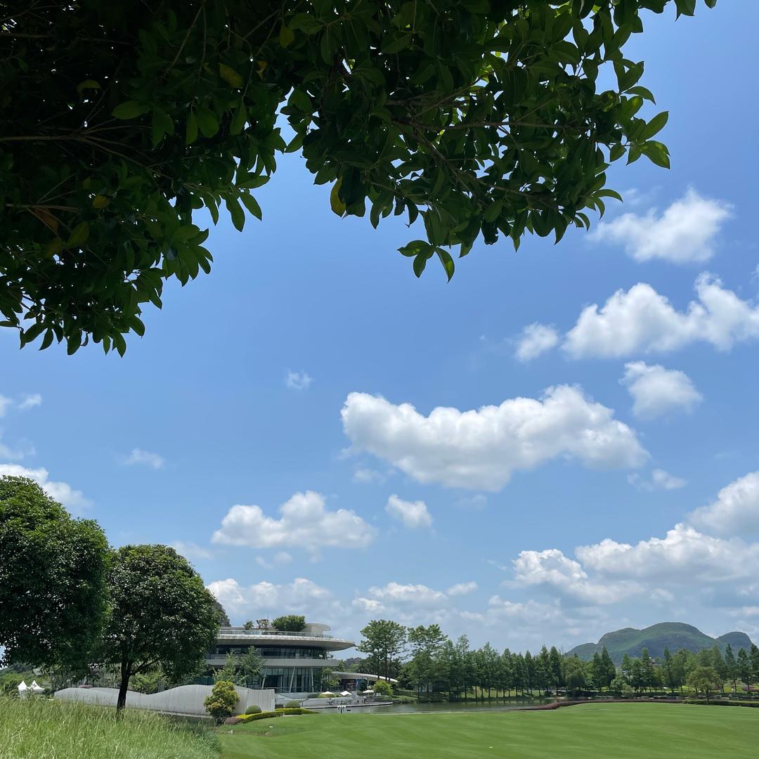 空白页