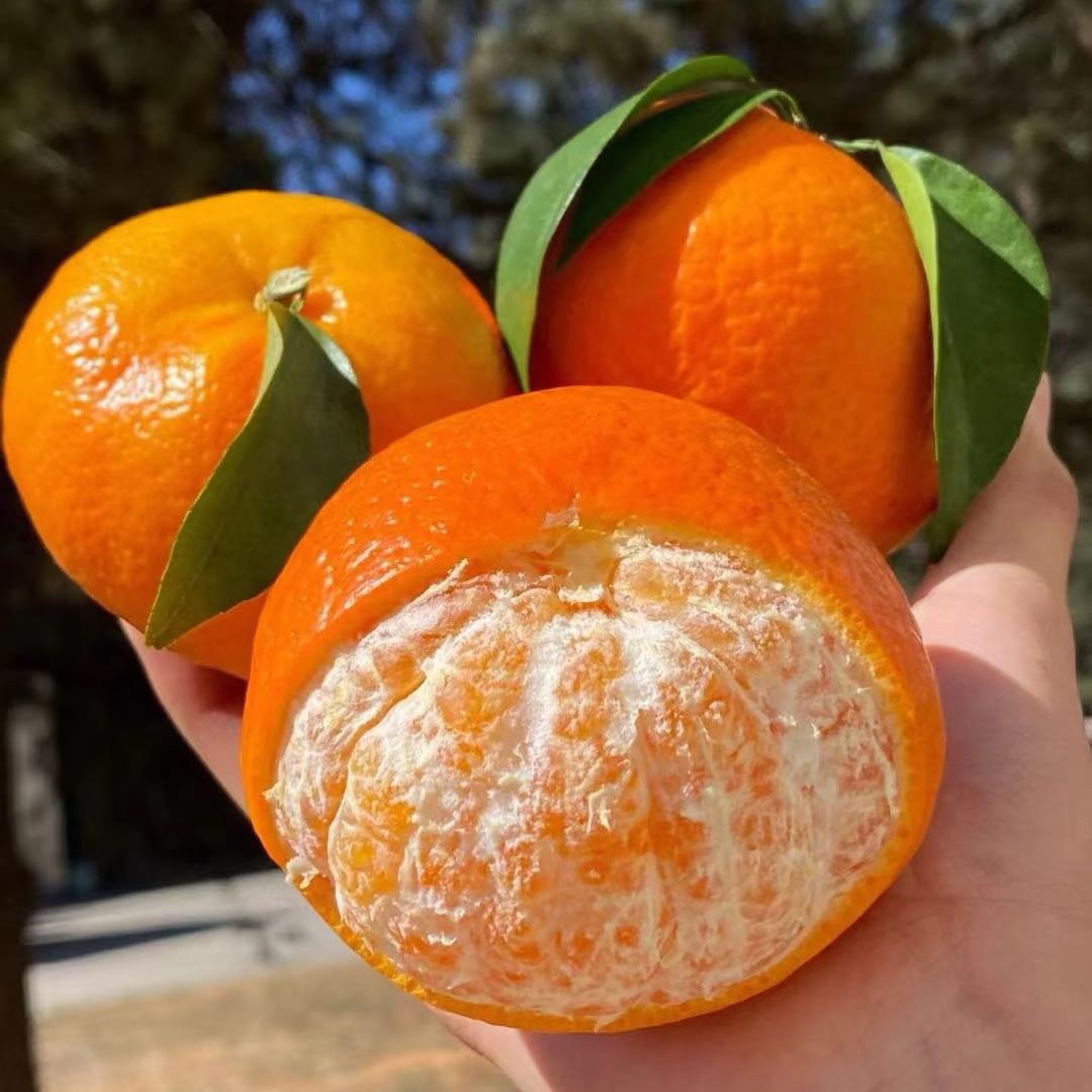 萌小妹的鲜果园