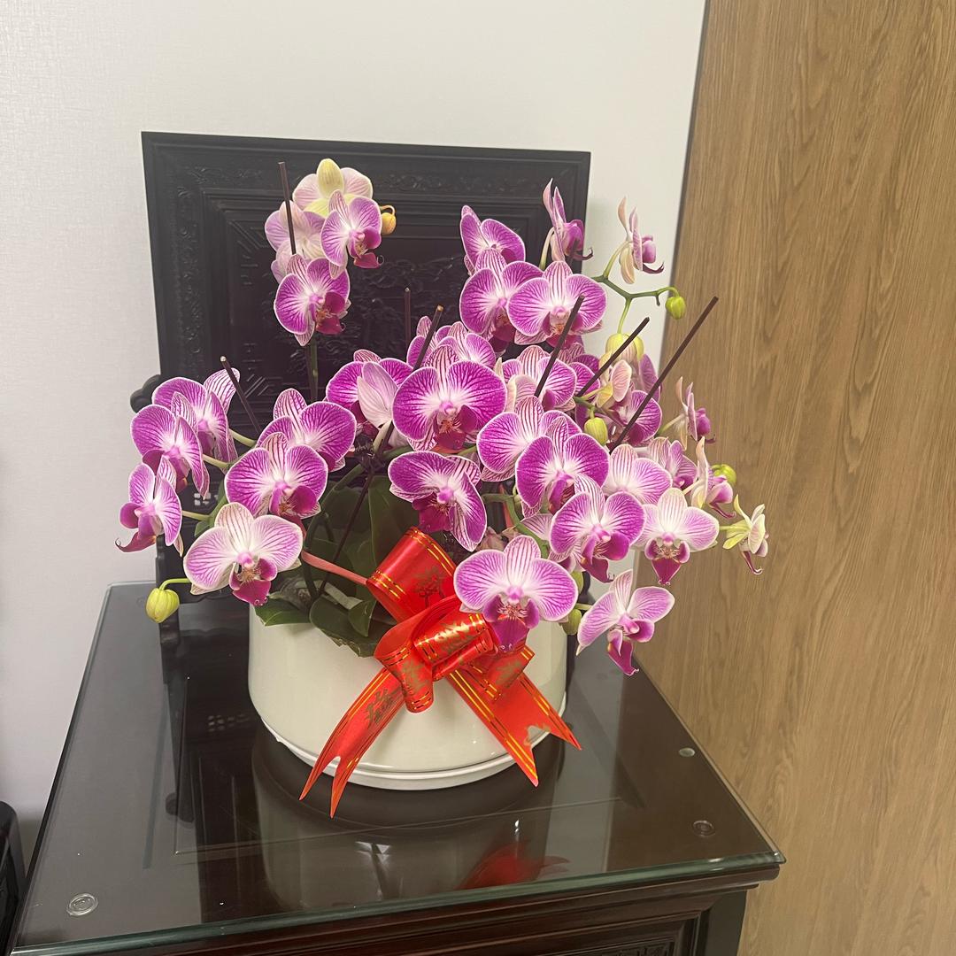 大姑小姑