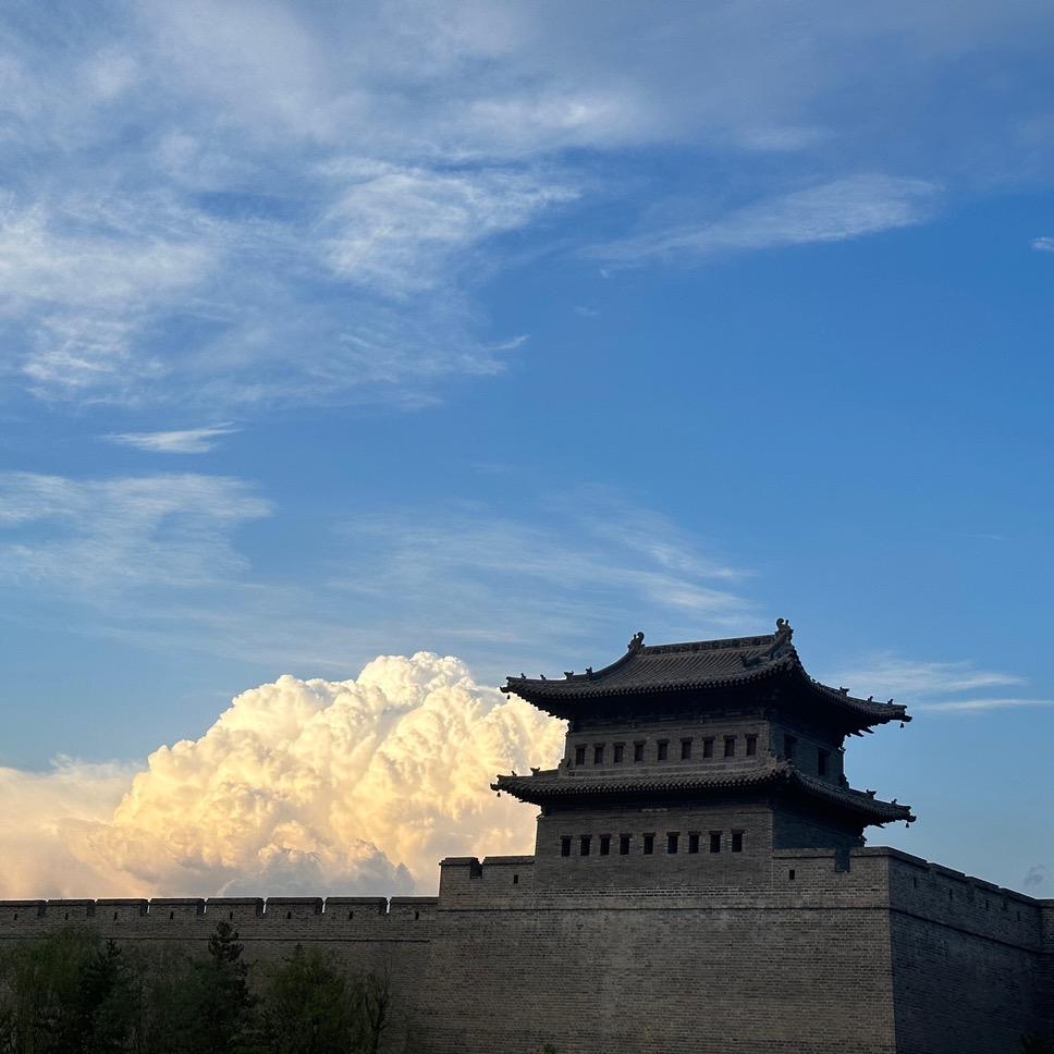 墨绿的黄果山楂