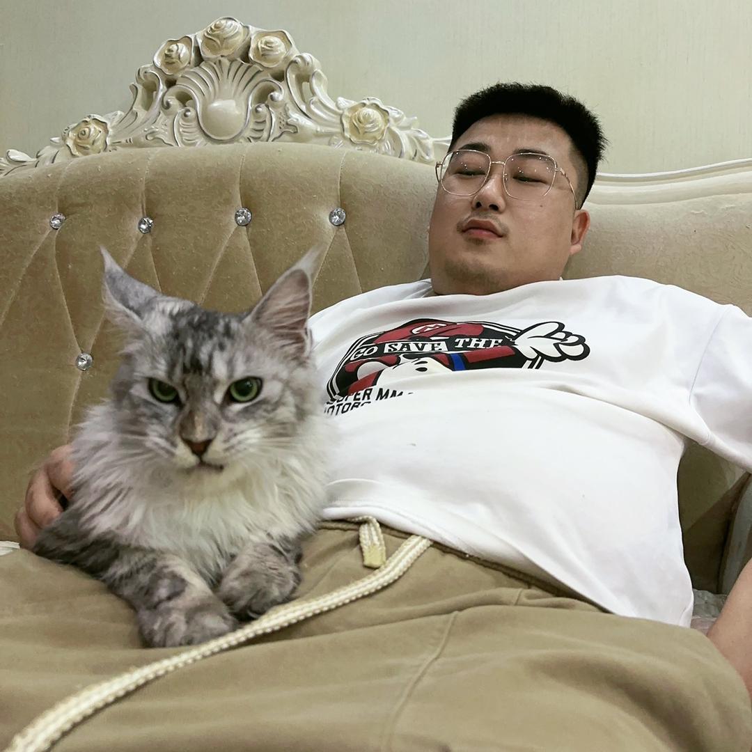 猫圈大反派