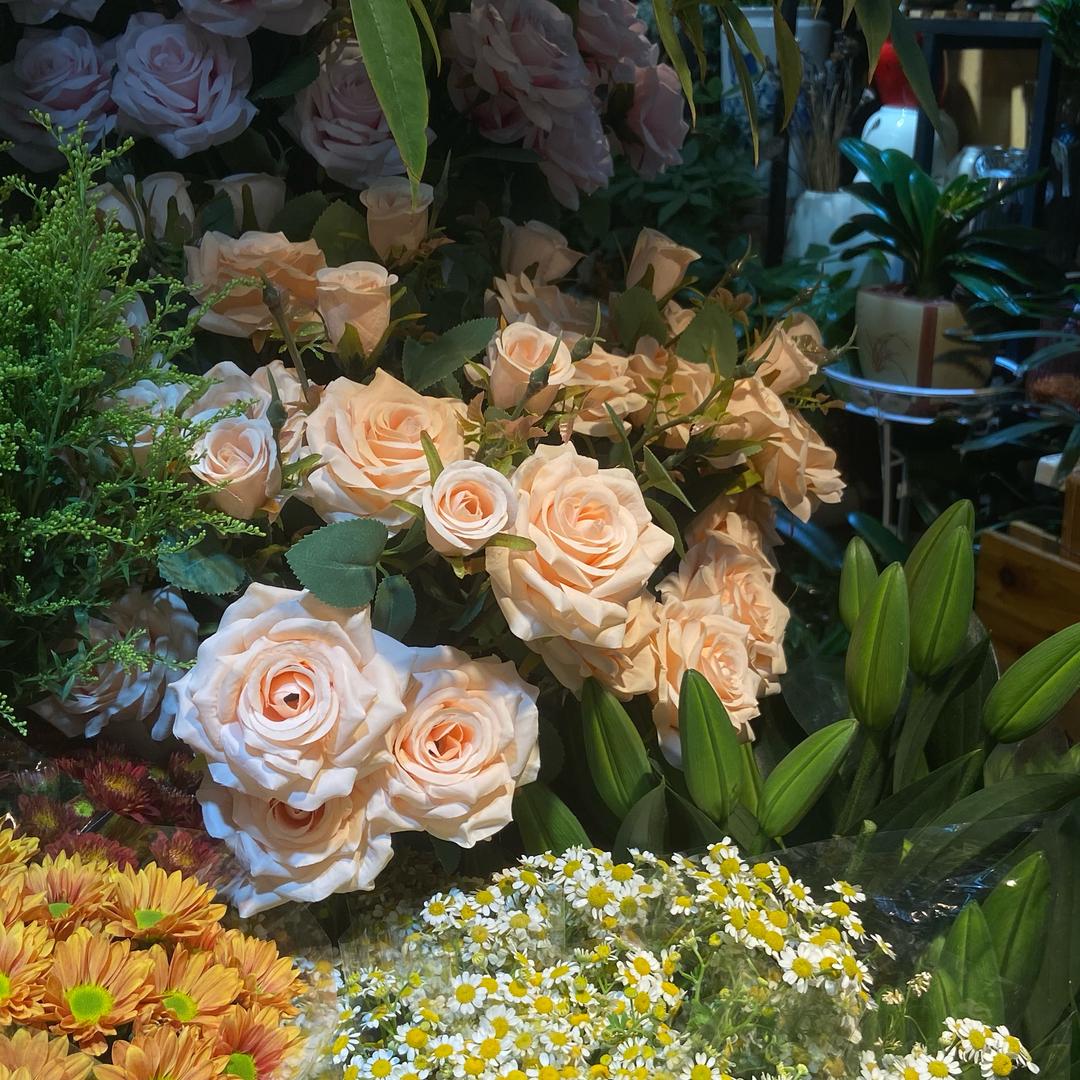 哆啦A梦的百宝袋🥳