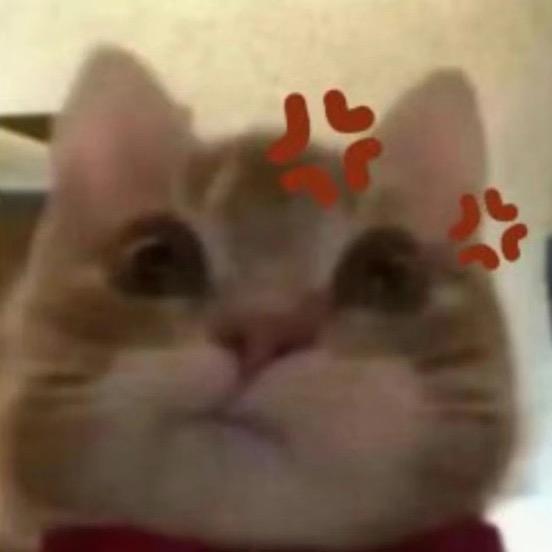 枯树树