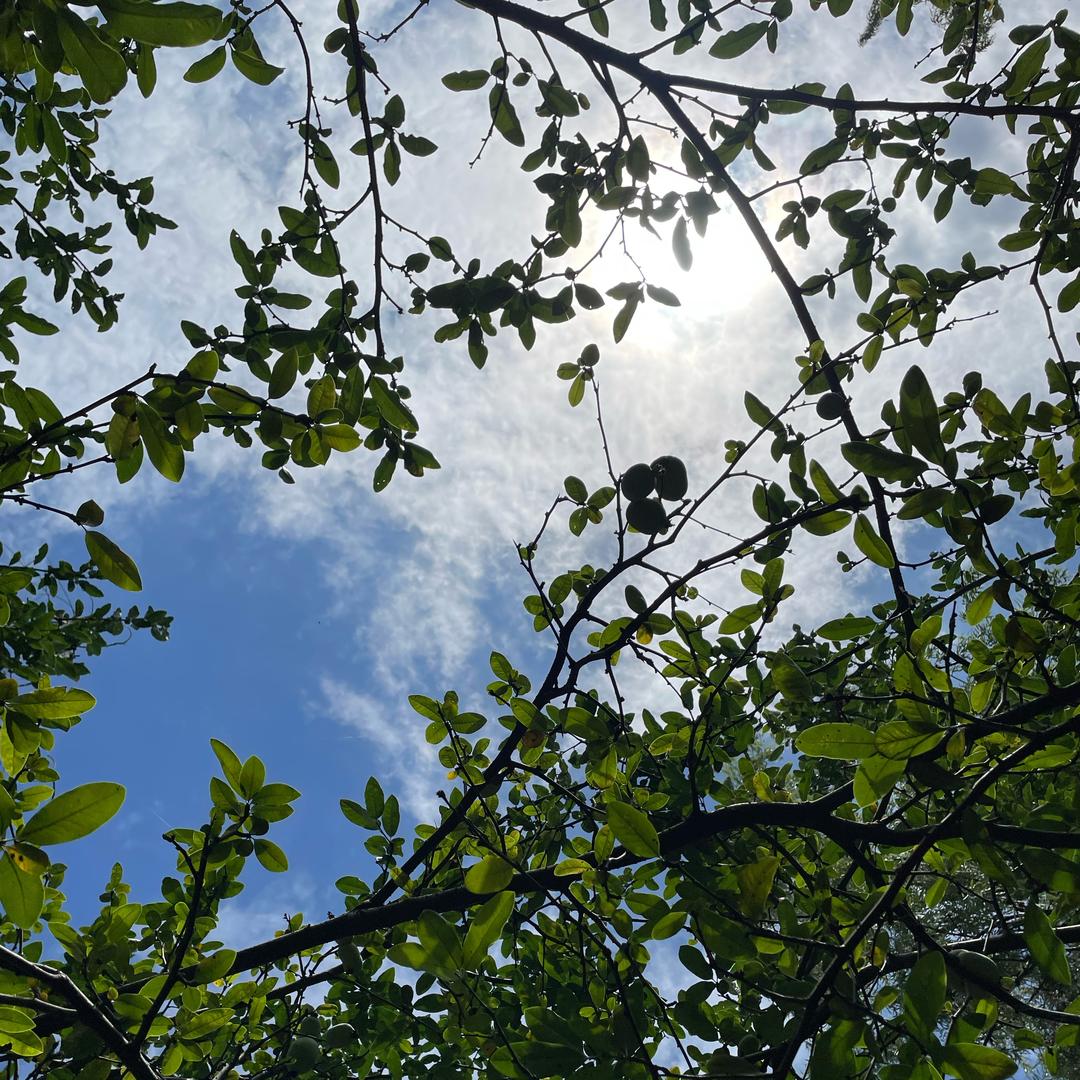 🌈彩虹六号