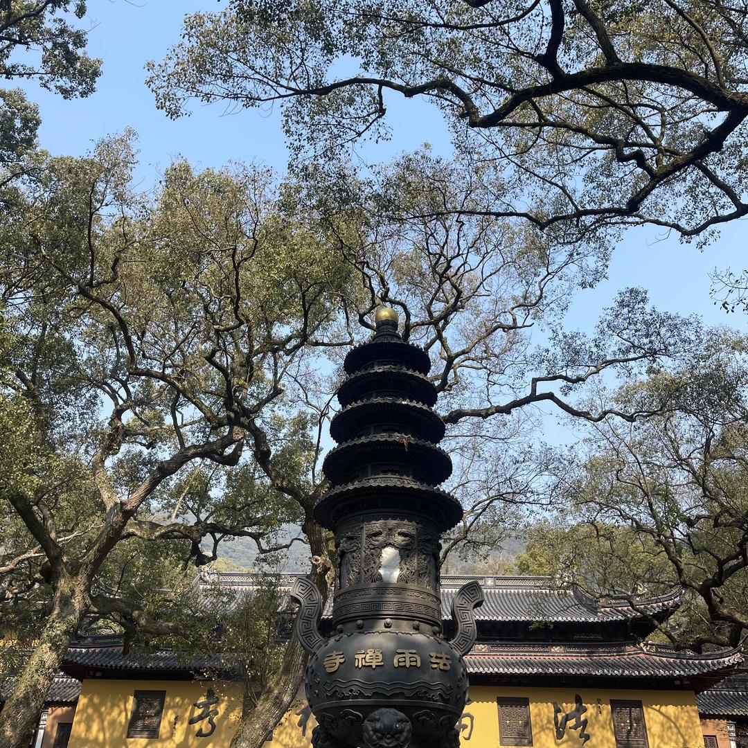 旺旺小仙🧚‍♀️