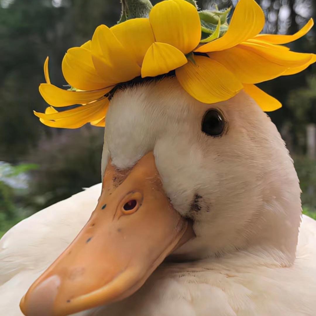 无聊就来当菜农