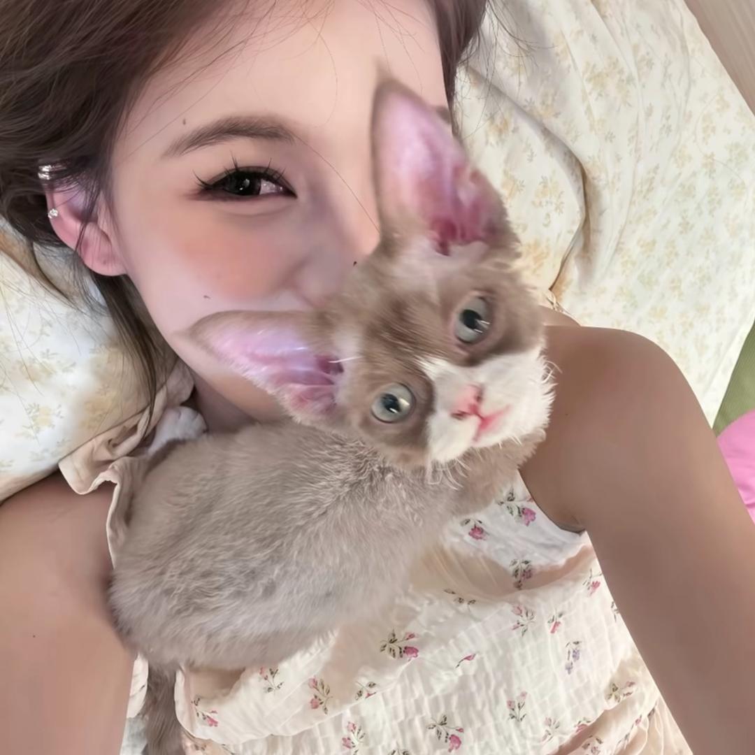 我没惹你吧