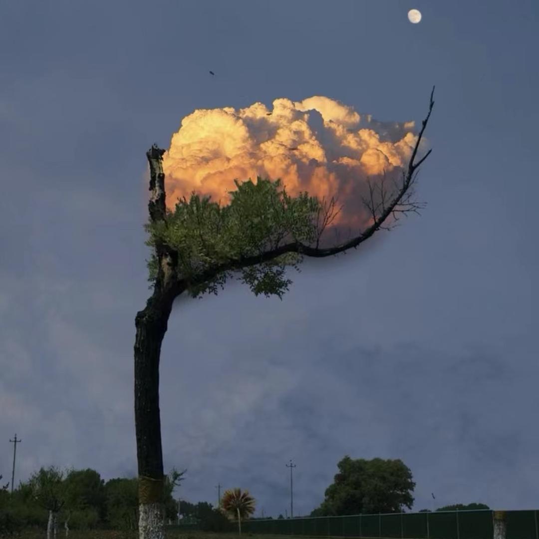 ໑ຼₒ₂₅ღ好运🍭