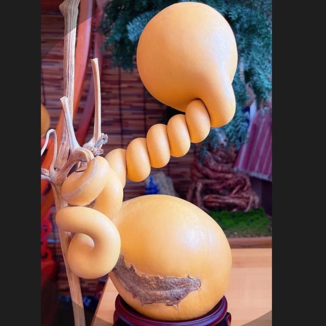 三诚葫业•谁非