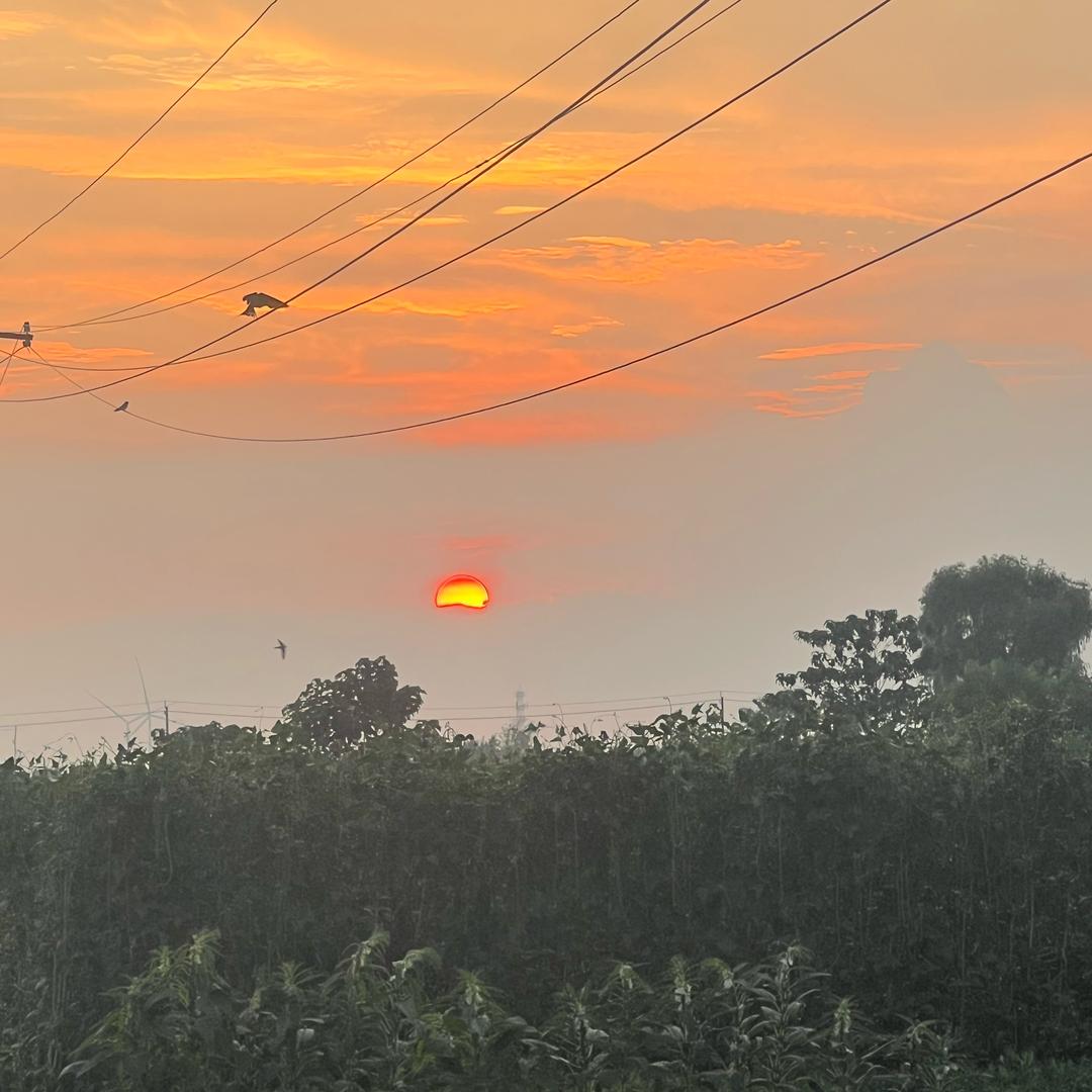 夕阳