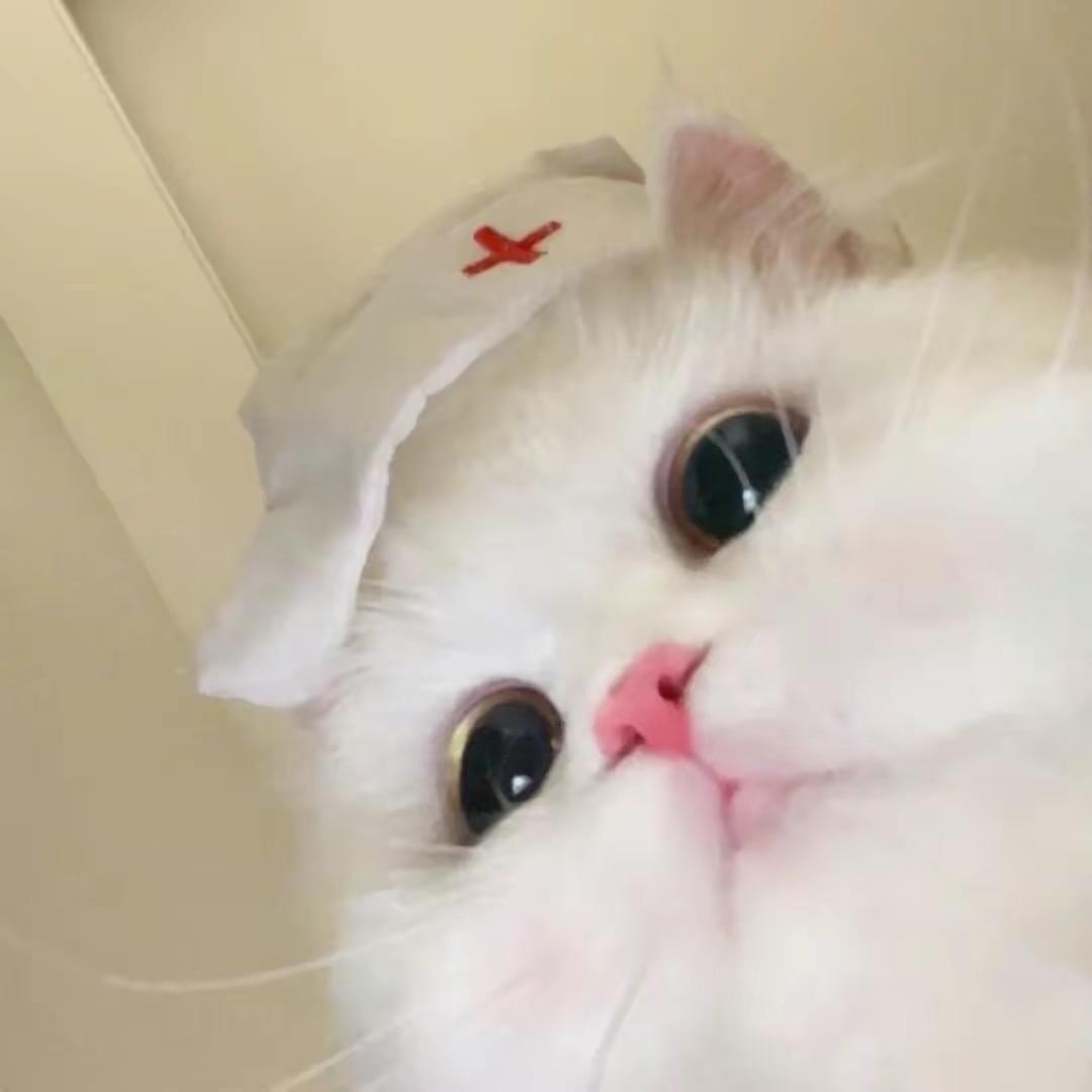 早安泡芙