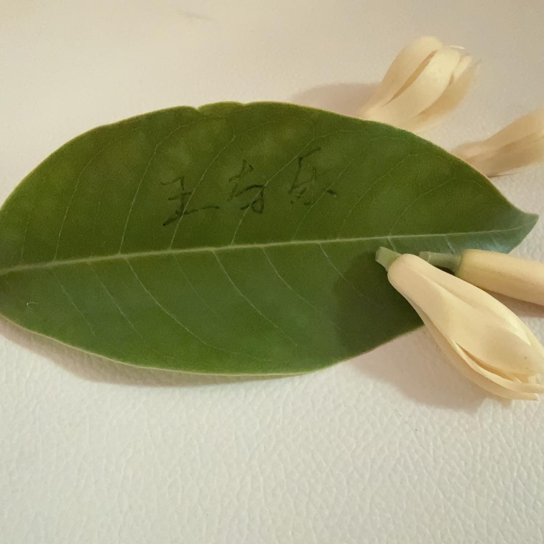 亿点点🤩