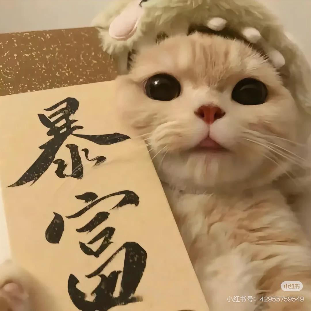 土豆不脱皮