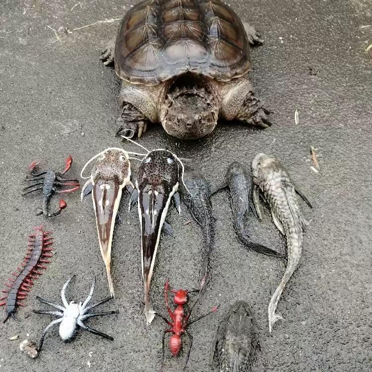 @💎【㽮】⚜️