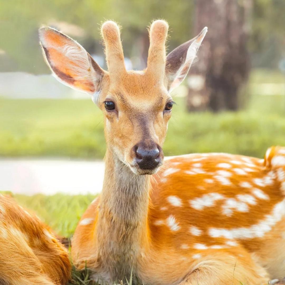 女人要懂得保养