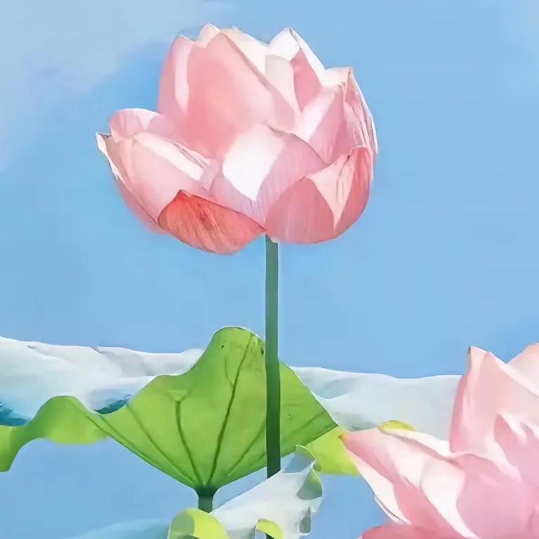 爱思甄选